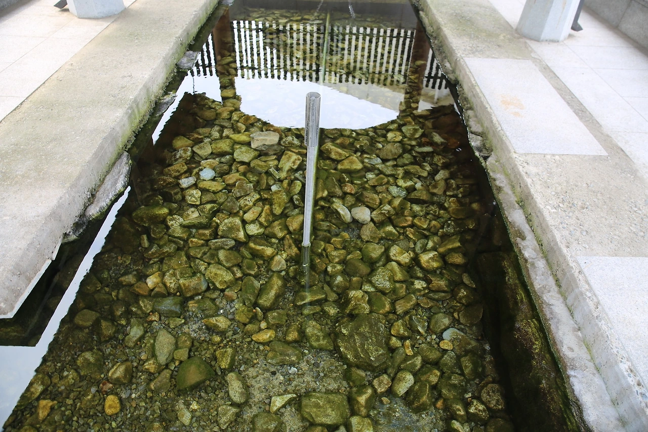 MG0A2434_новый размер.JPG