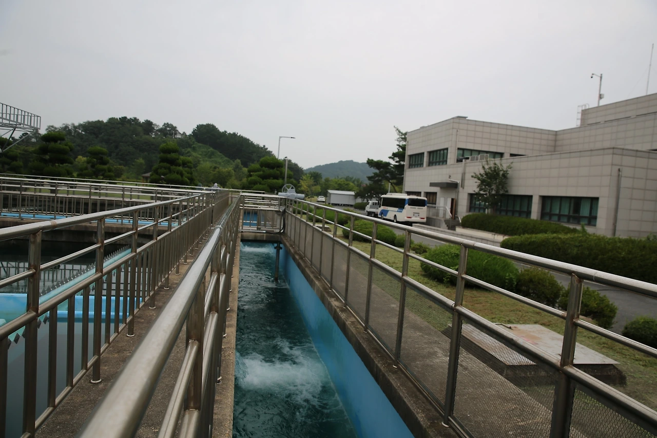 MG0A8490_новый размер.JPG