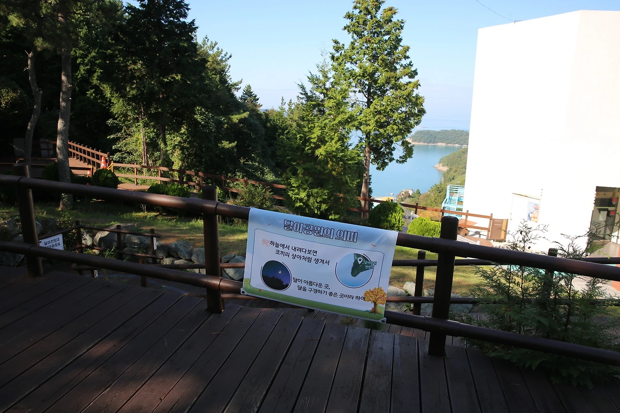 MG0A9167_новый размер.JPG