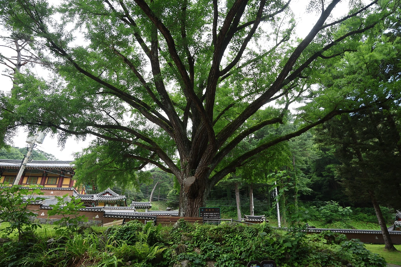 0R5A7623_новый размер.JPG