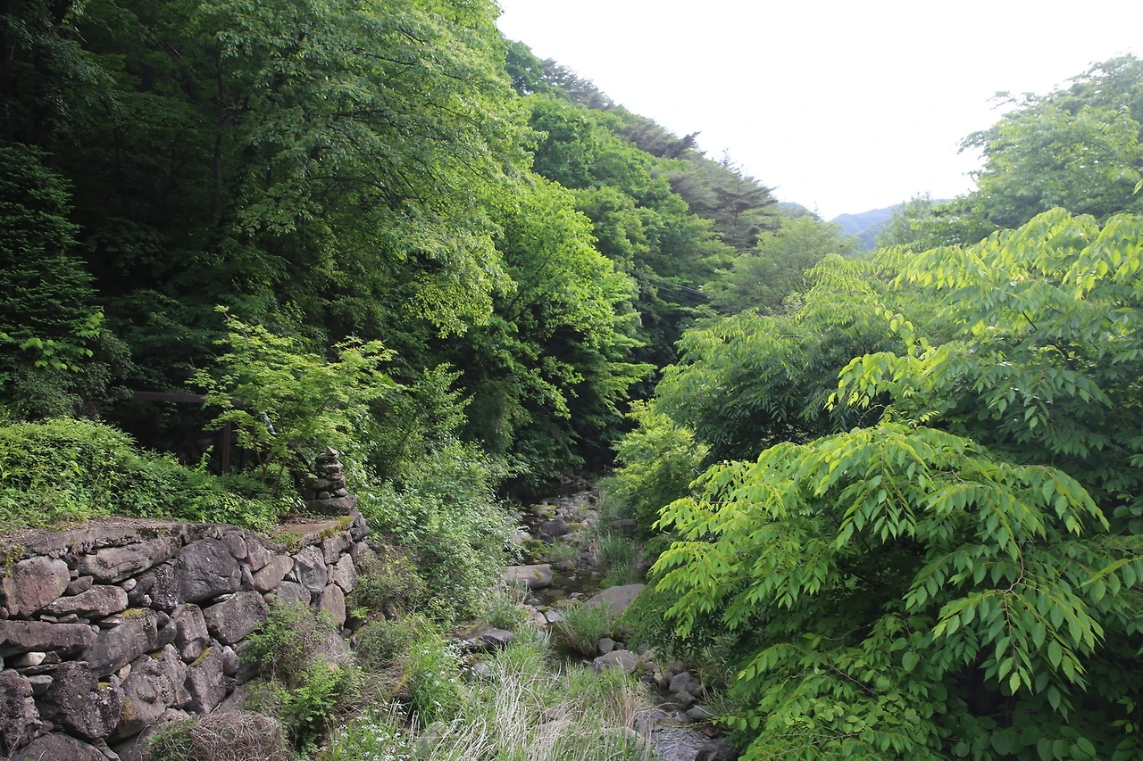 MG0A9892_новый размер.JPG