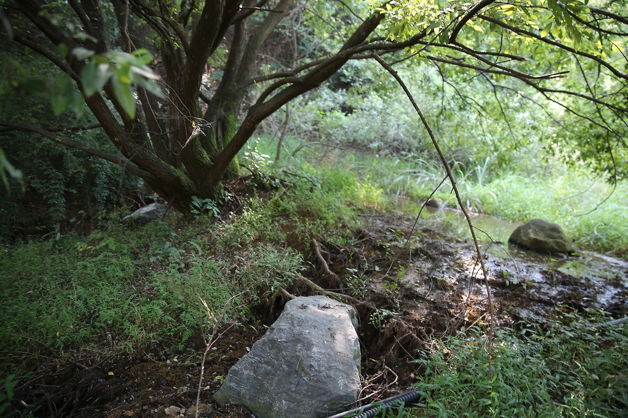 MG0A0069_новый размер.JPG