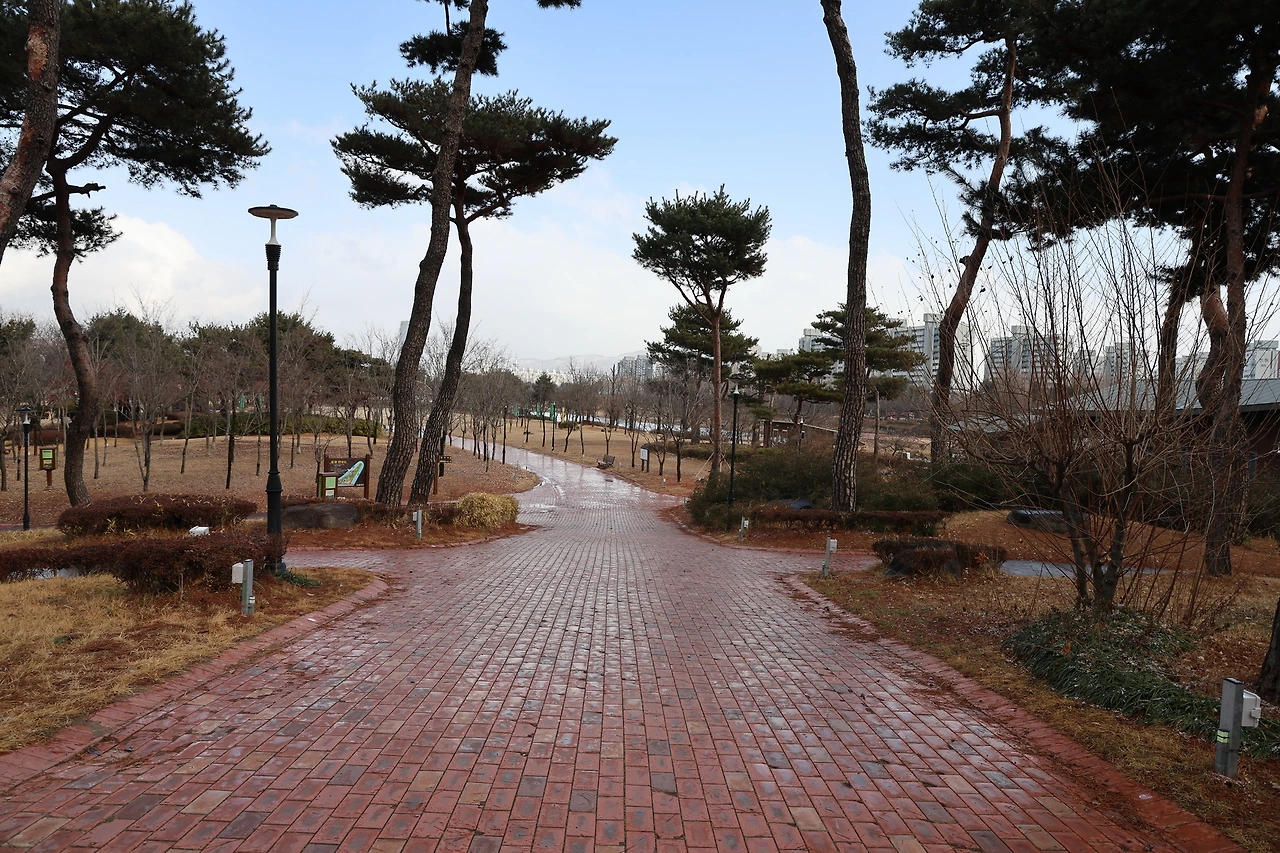 0R5A0098_новый размер.JPG