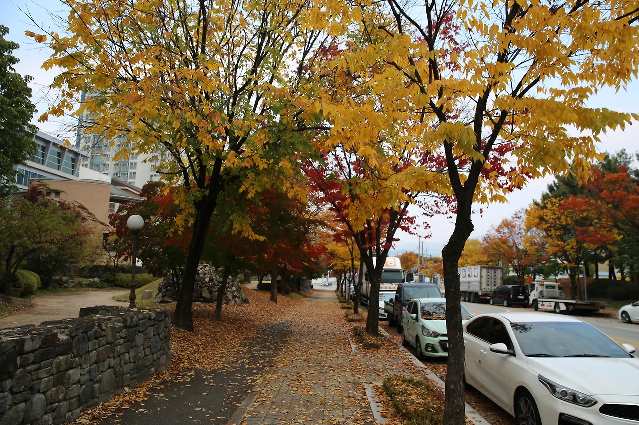 MG0A7693_новый размер.JPG