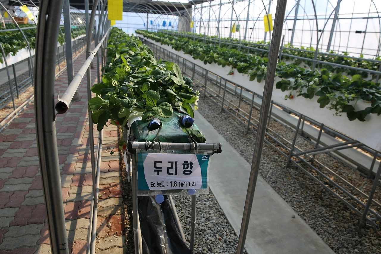 MG0A9433_новый размер.JPG