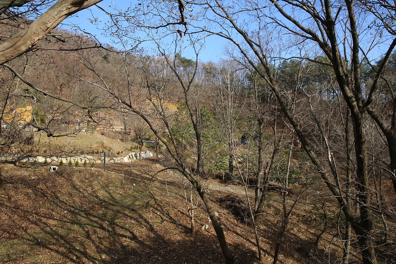 MG0A5555_новый размер.JPG