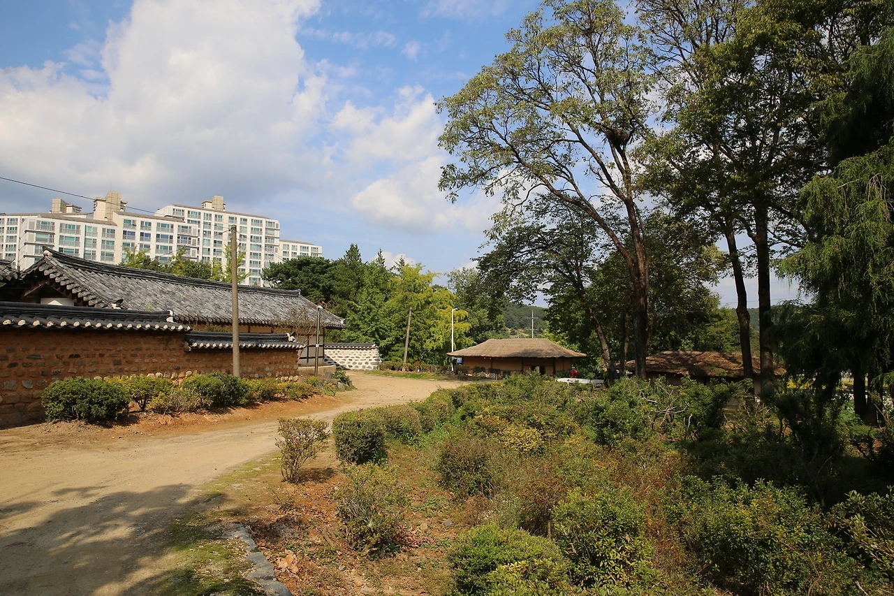 MG0A4788_новый размер.JPG