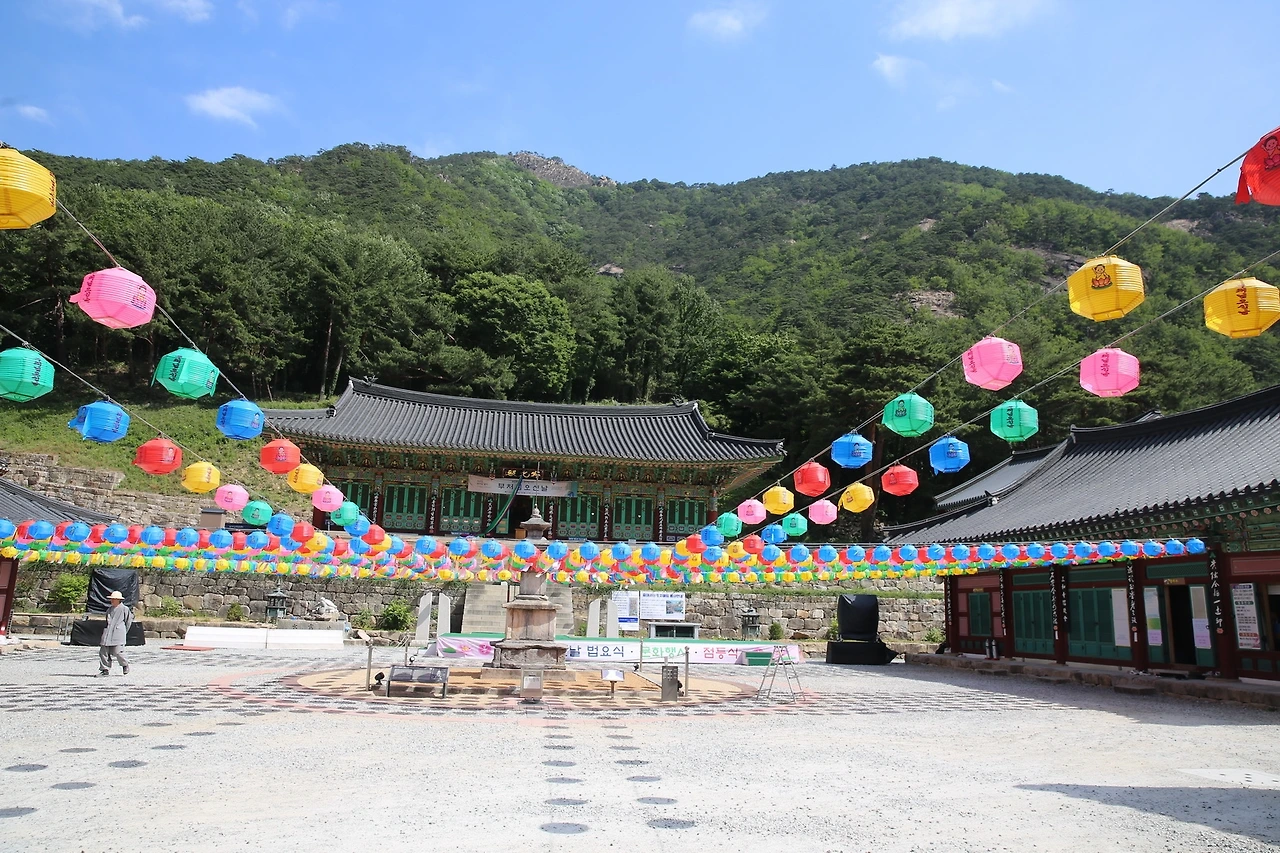 MG0A0696_новый размер.JPG