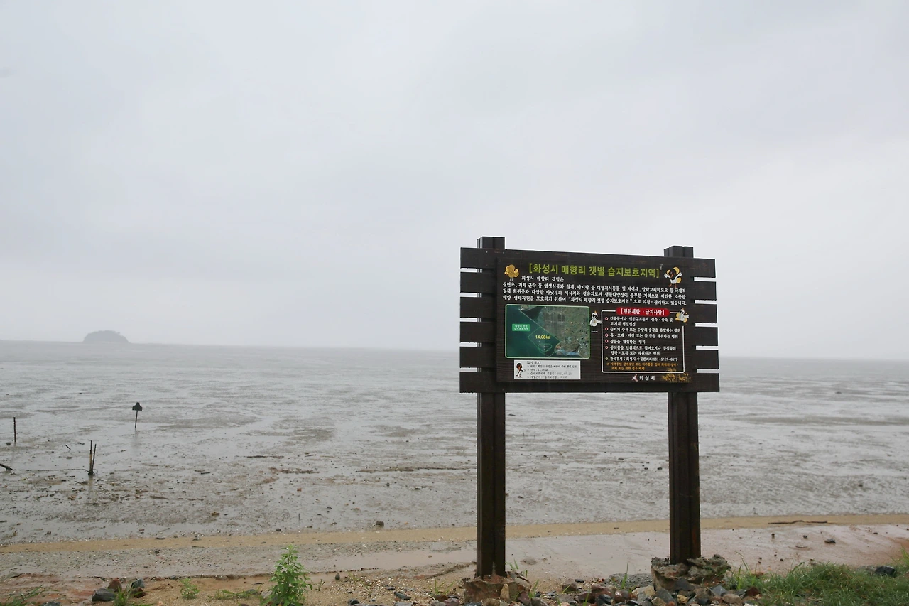 MG0A3370_новый размер_exposure.JPG