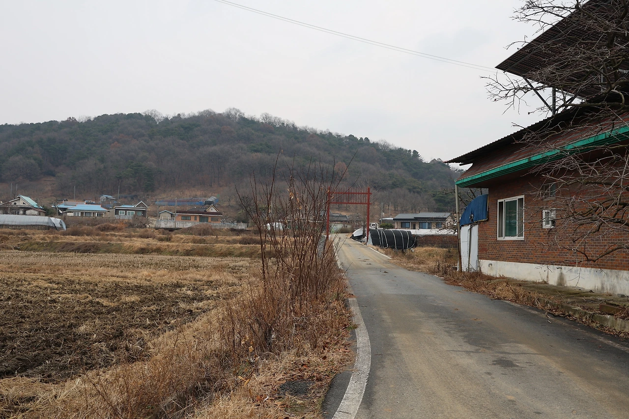 0R5A6928_новый размер.JPG