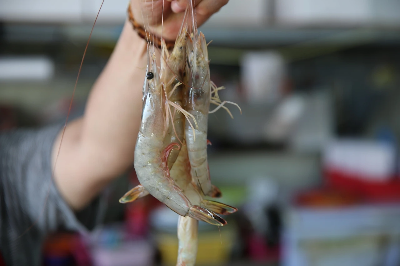 MG0A9390_новый размер.JPG