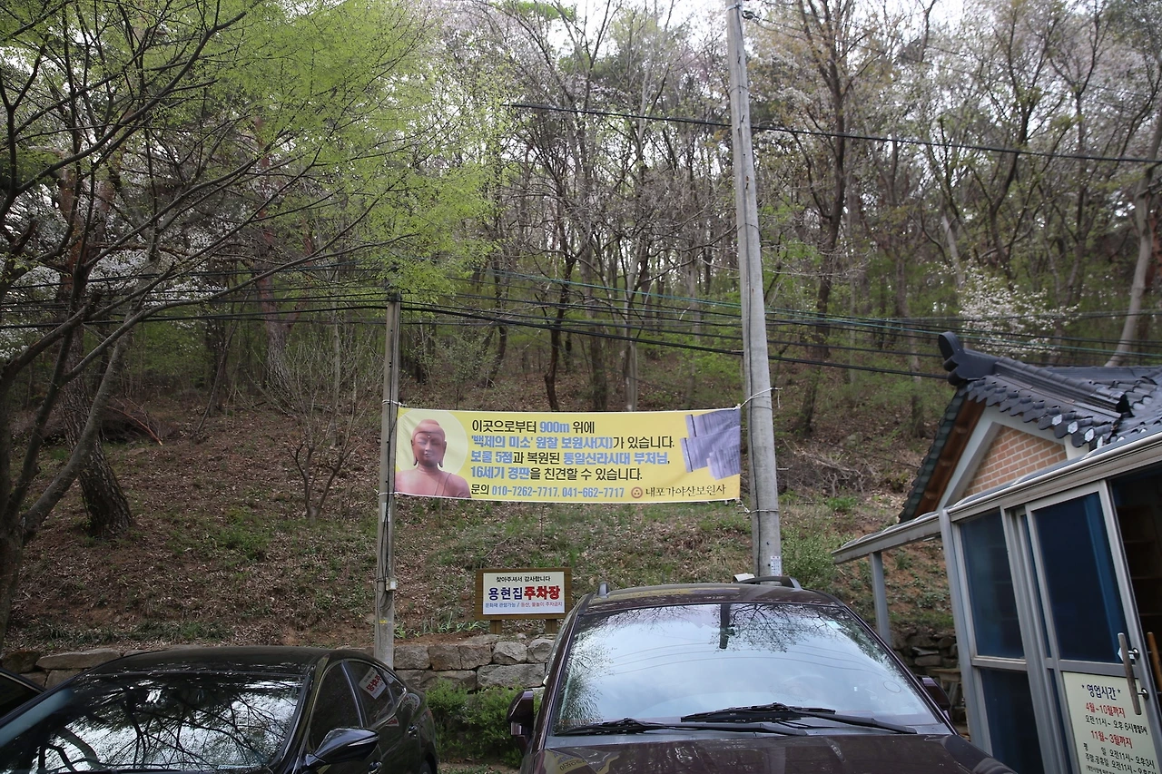 MG0A9506_новый размер.JPG