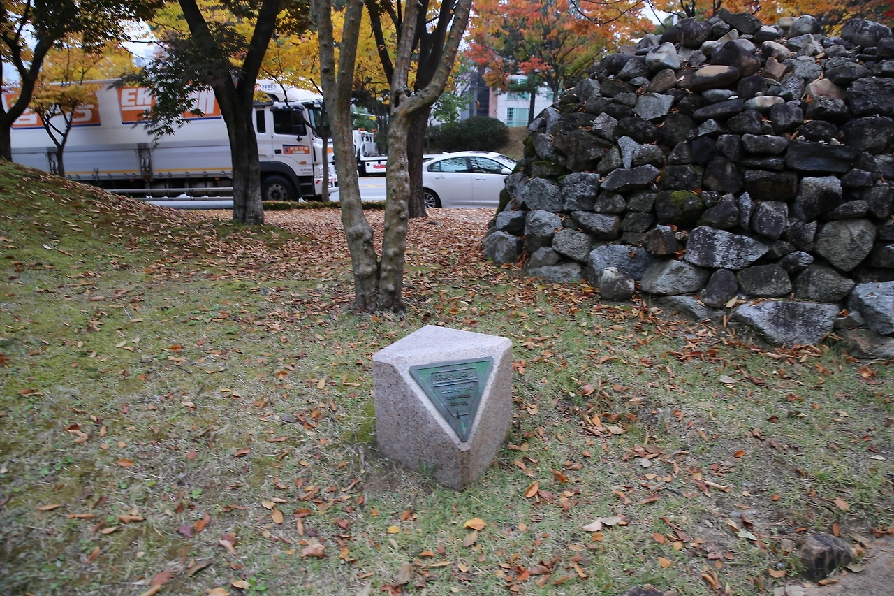 MG0A7698_новый размер.JPG