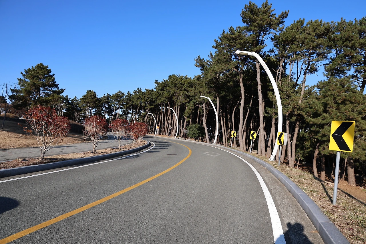 0R5A7931_новый размер.JPG