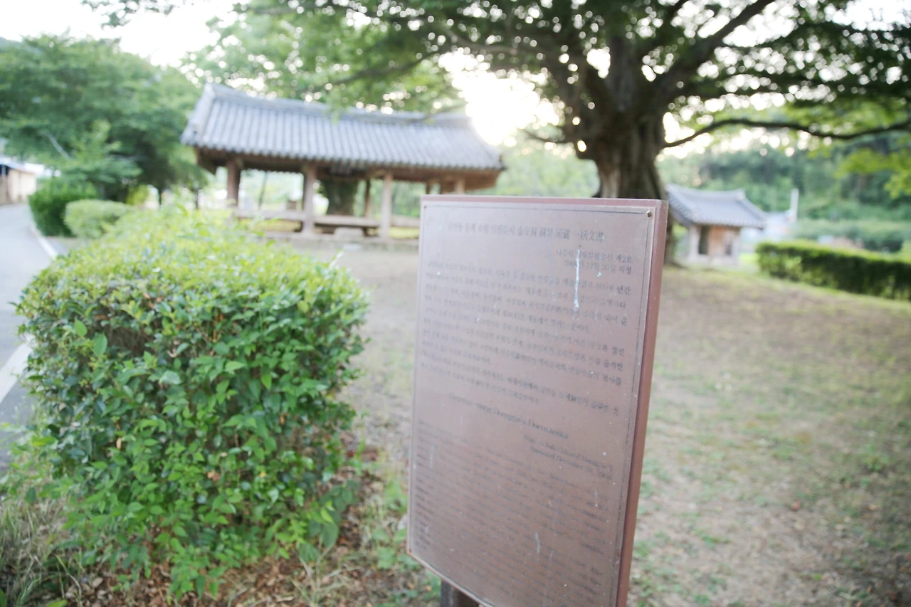 MG0A9199_новый размер_exposure.JPG