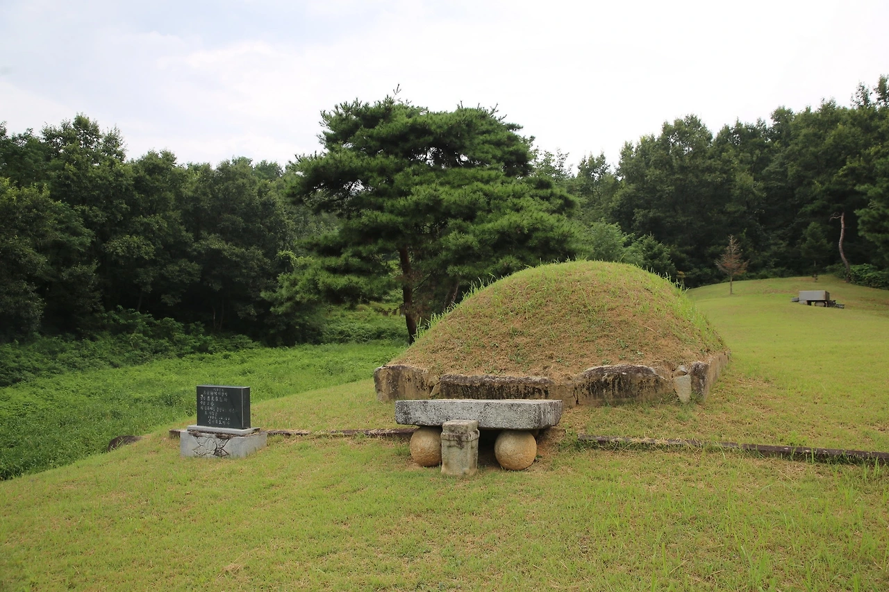 MG0A9654_новый размер.JPG