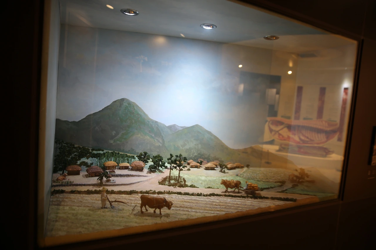 MG0A8336_новый размер.JPG