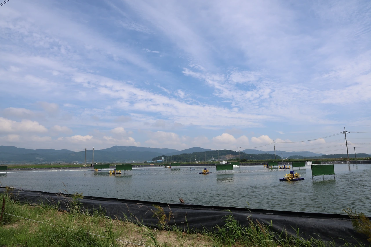 0R5A7726_новый размер.JPG