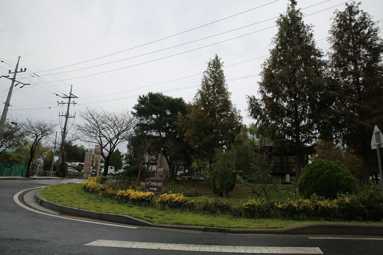 MG0A5023_новый размер.JPG