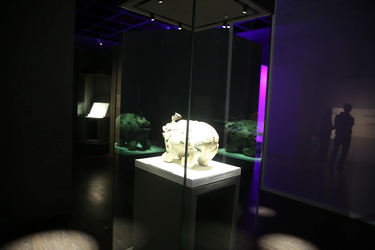 MG0A1085_новый размер.JPG