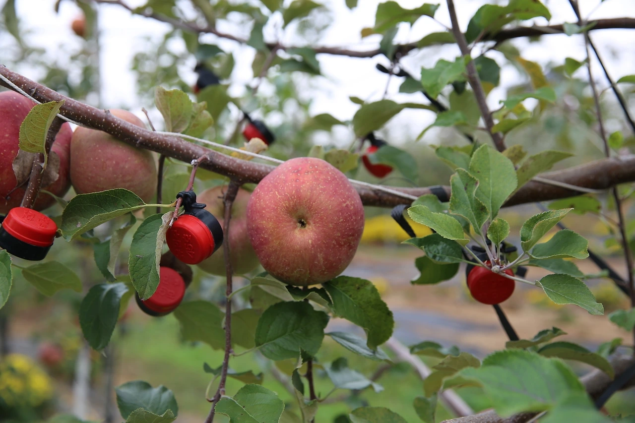 MG0A9644_новый размер.JPG