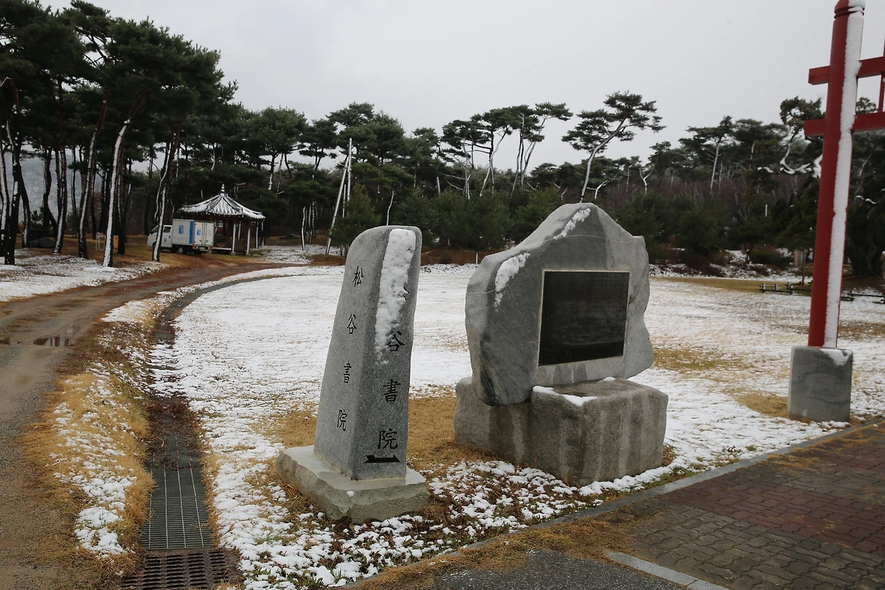 MG0A0636_новый размер.JPG