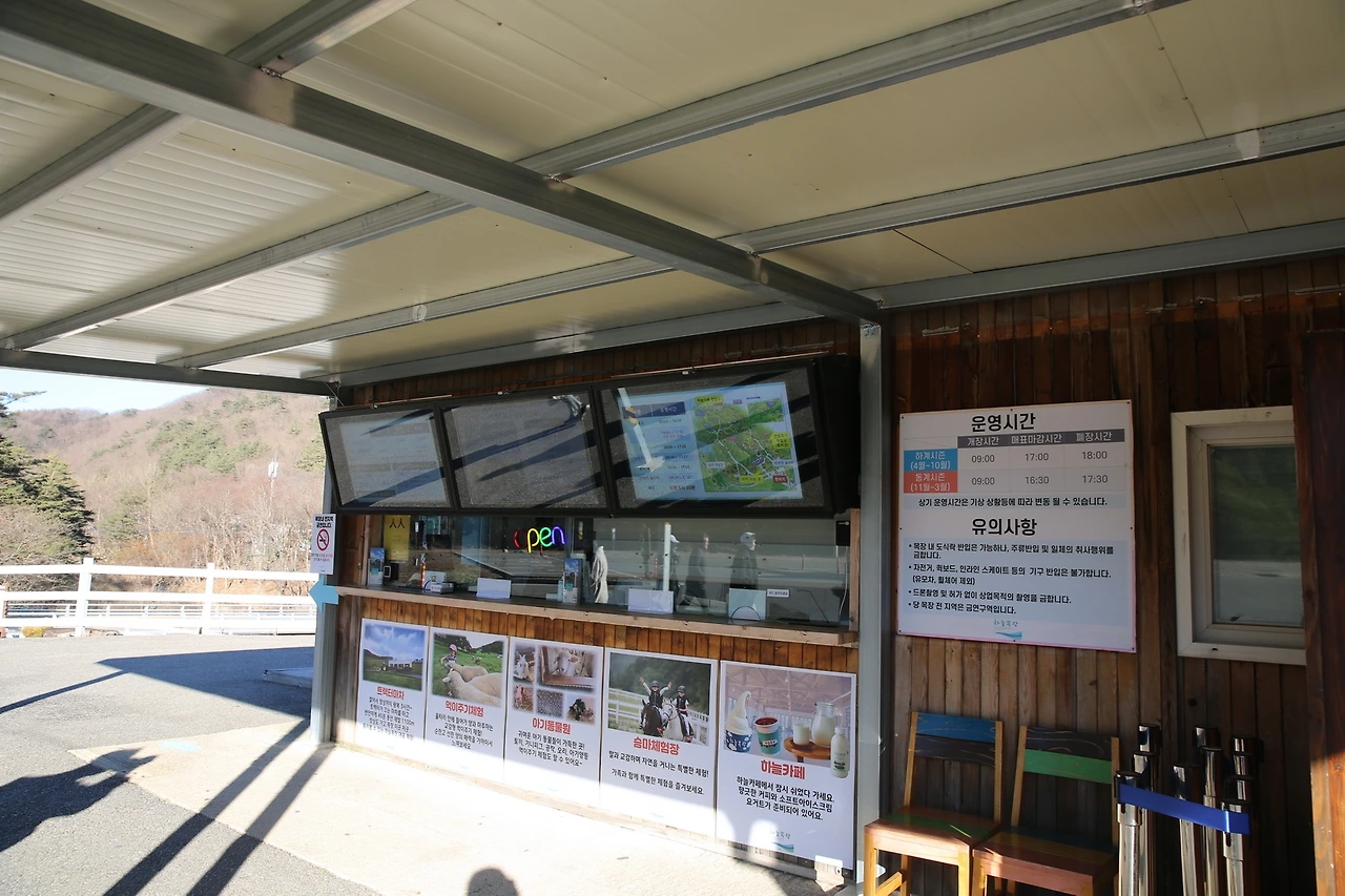 MG0A1715_новый размер.JPG