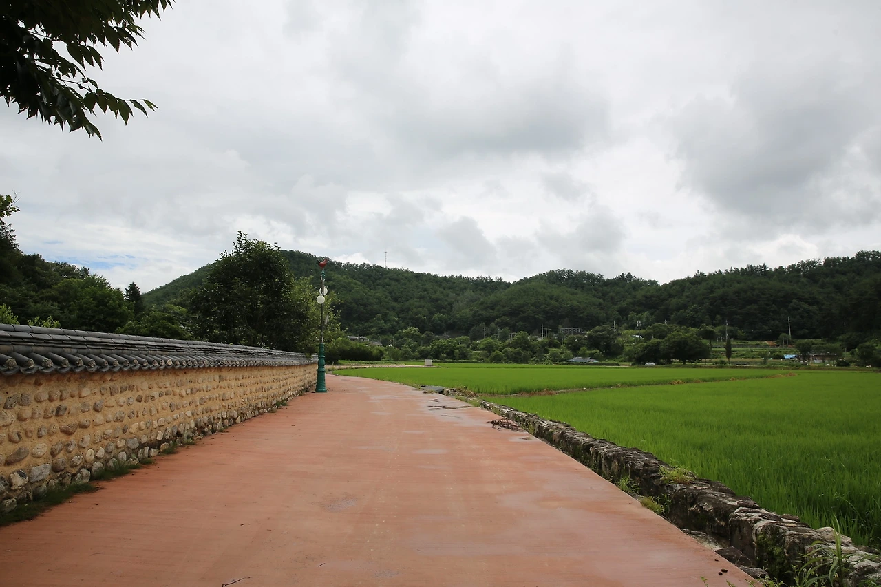 MG0A6463_новый размер.JPG