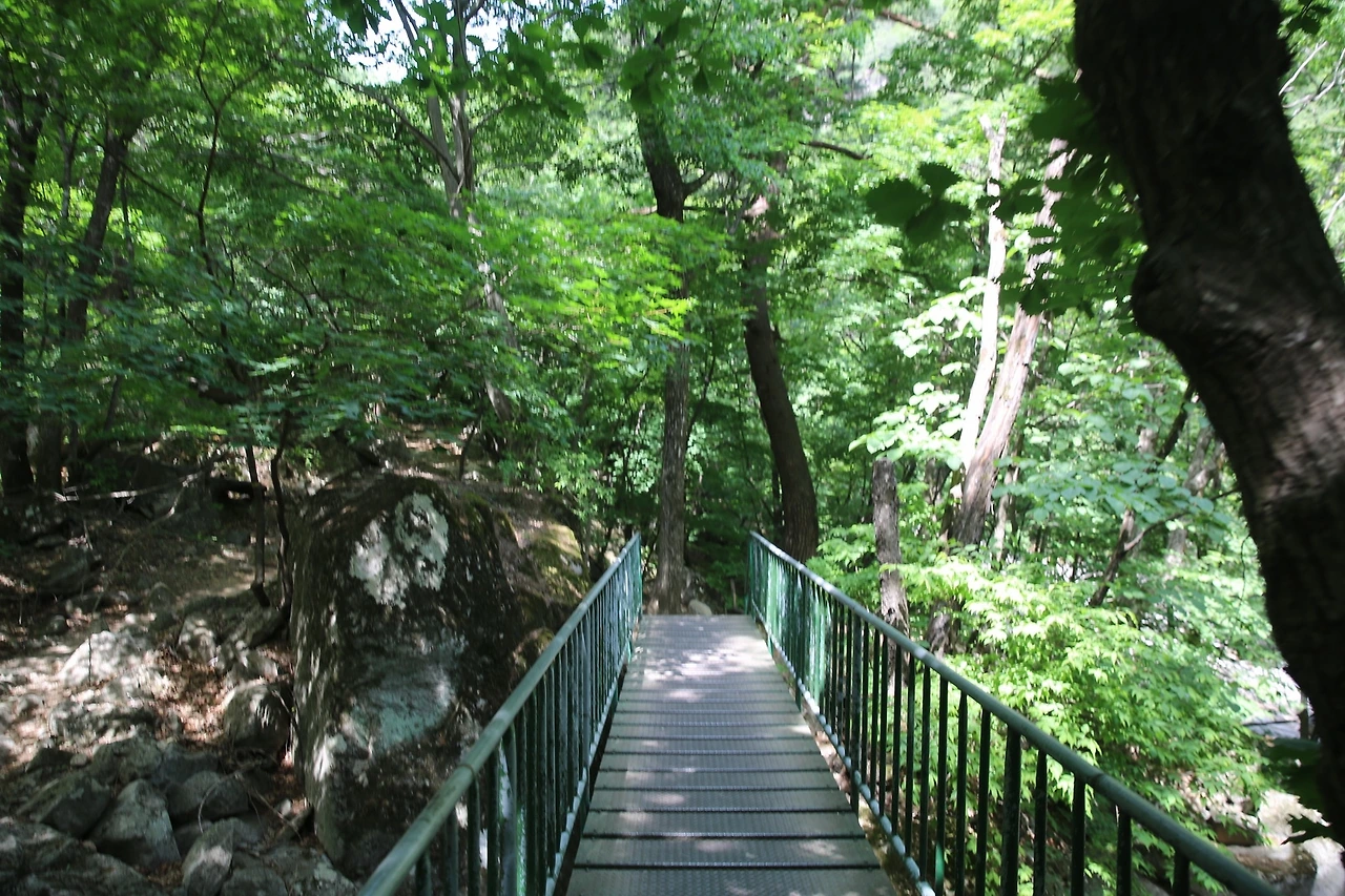 MG0A0736_новый размер.JPG