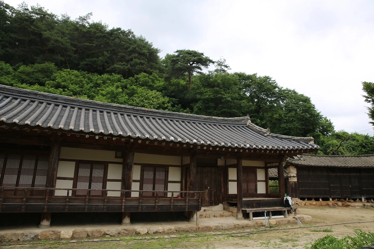 MG0A0420_новый размер.JPG