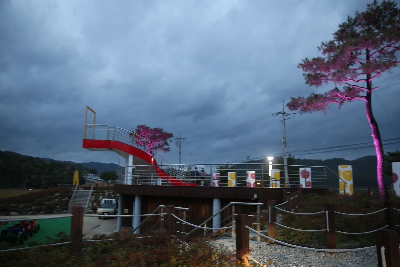 MG0A5779_новый размер.JPG