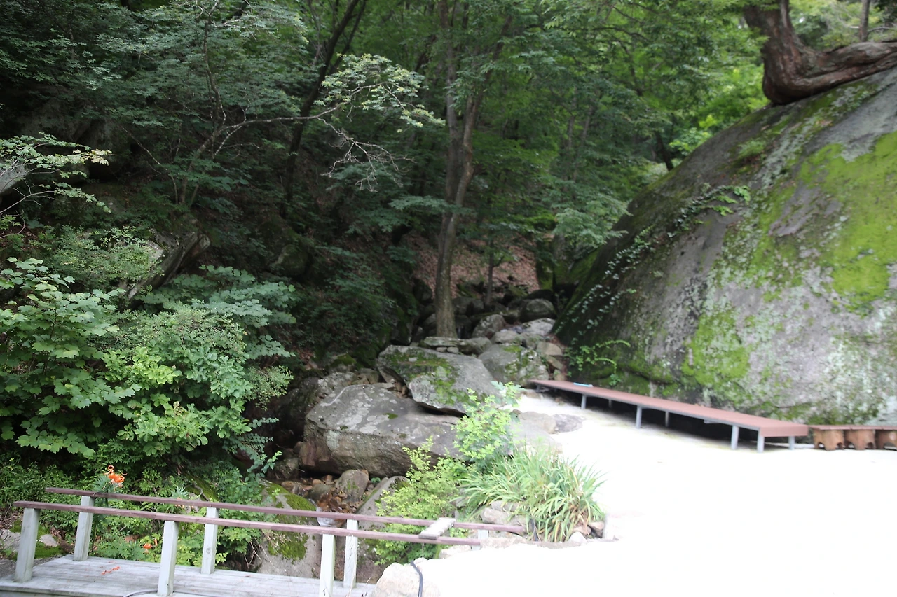 MG0A4542_новый размер.JPG