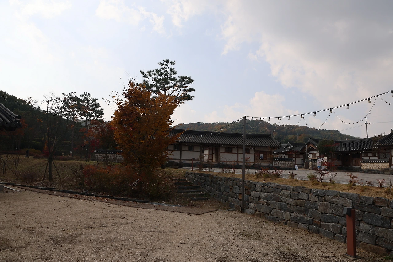 0R5A2348_новый размер.JPG