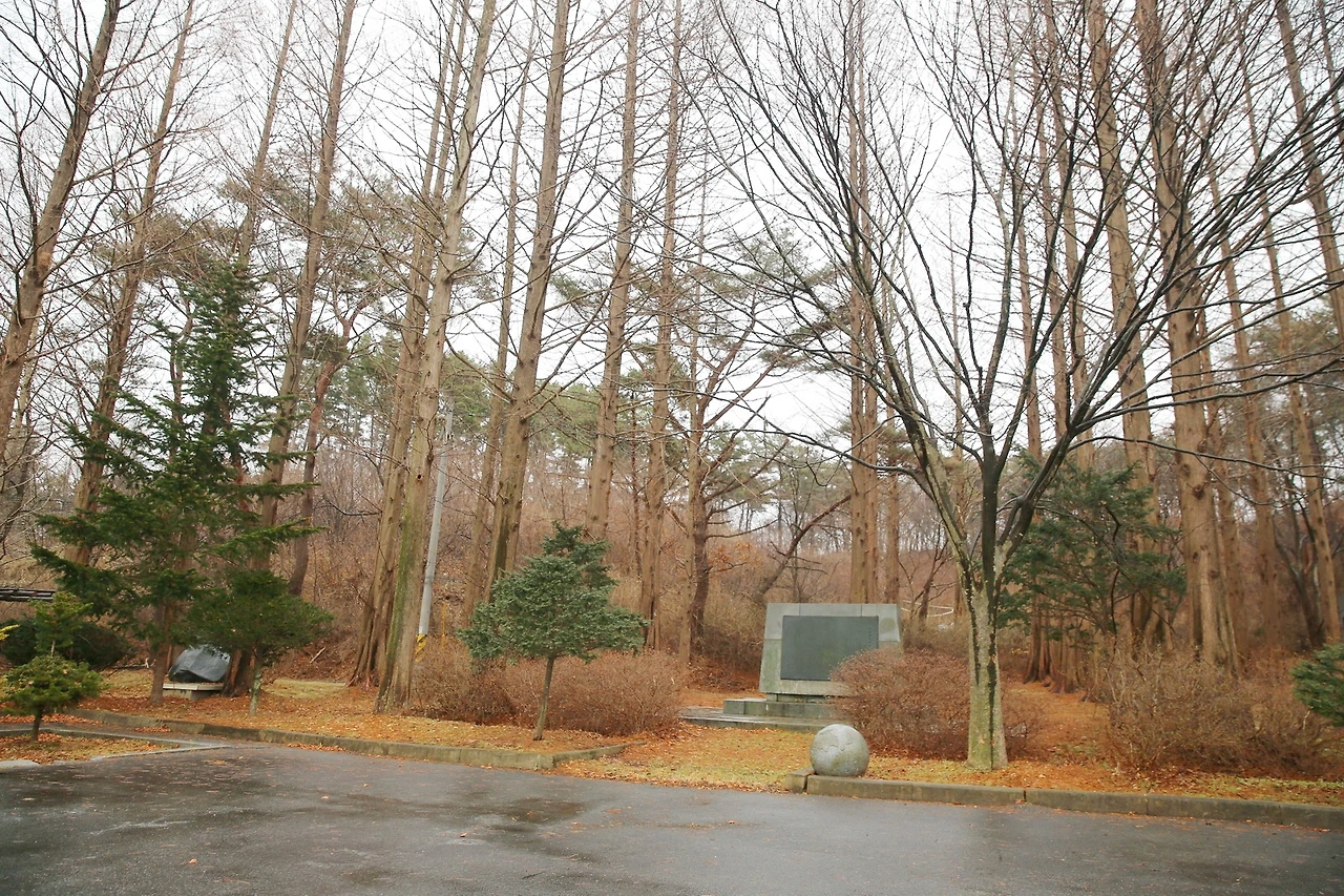 MG0A7107_новый размер_exposure.JPG