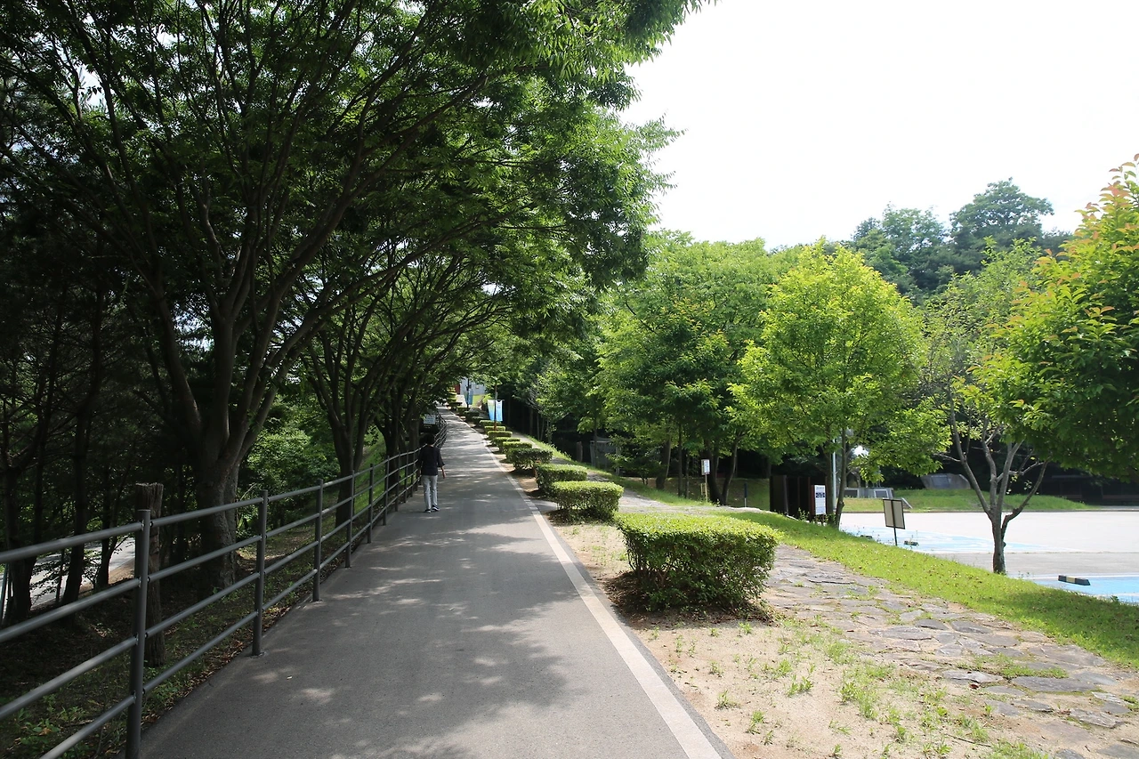 MG0A2144_новый размер.JPG