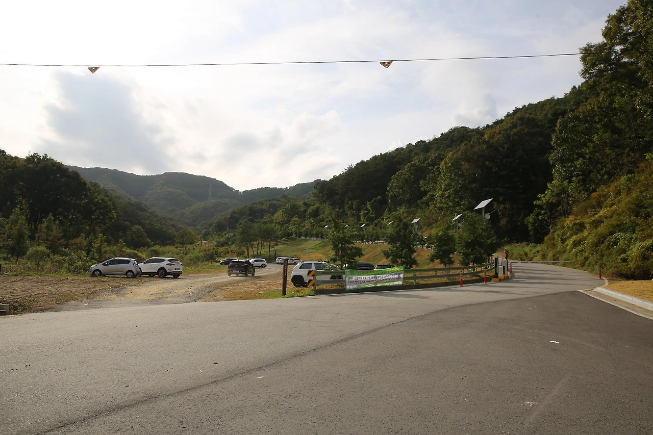 MG0A5622_новый размер.JPG