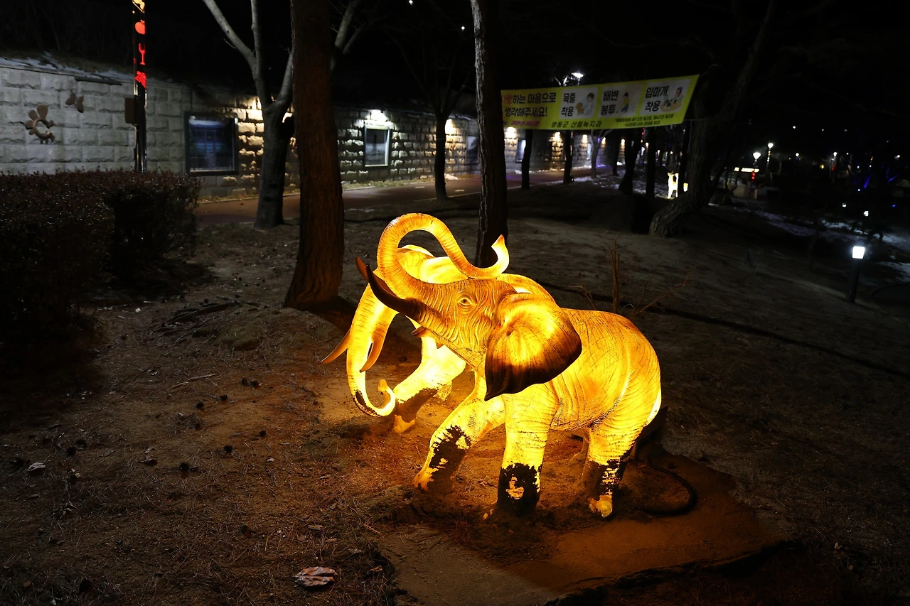 0R5A8009_новый размер.JPG