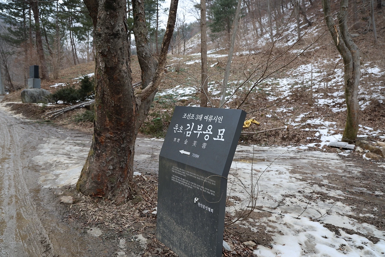 0R5A9567_новый размер.JPG