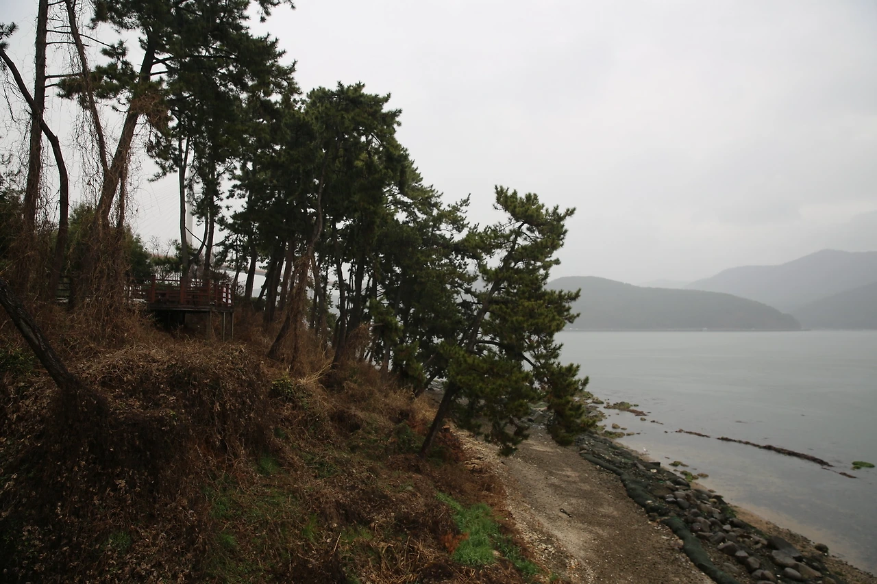 MG0A6367_новый размер.JPG