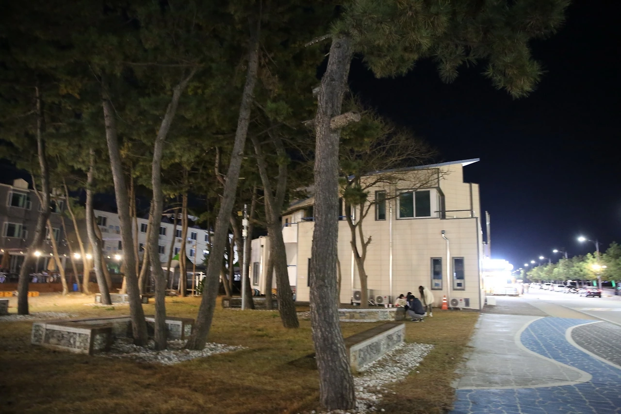 MG0A2360_новый размер.JPG