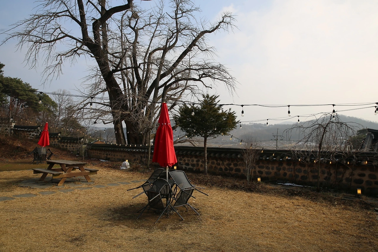 MG0A5352_новый размер.JPG