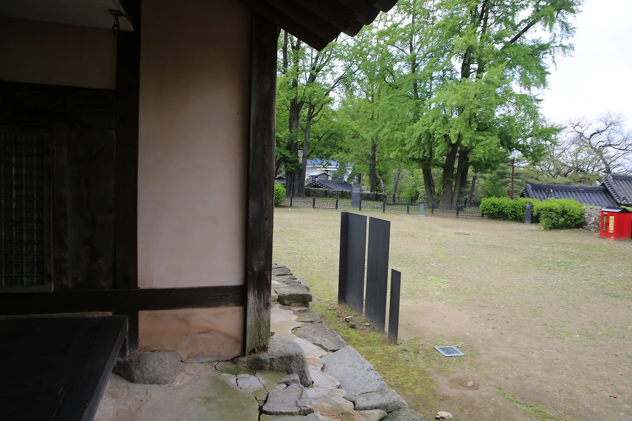 MG0A0869_новый размер.JPG