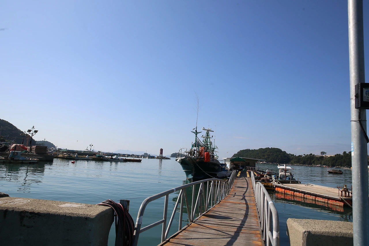 MG0A9187_новый размер.JPG