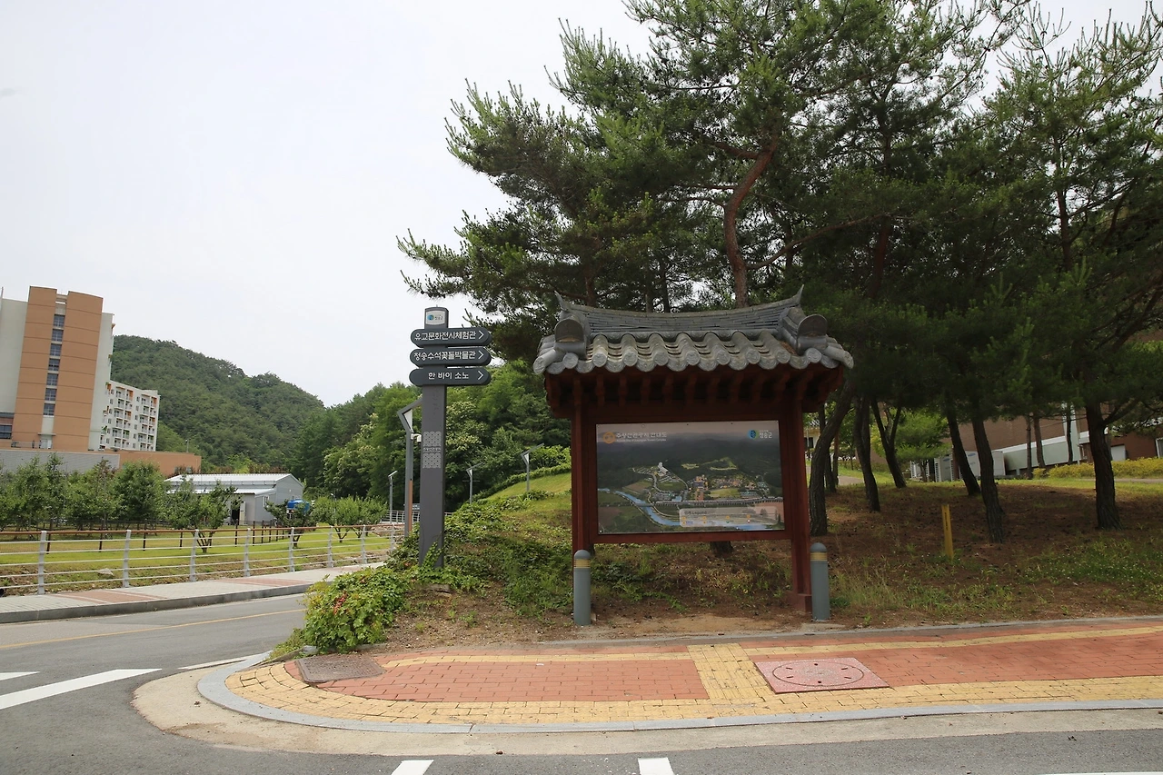 MG0A8594_новый размер.JPG