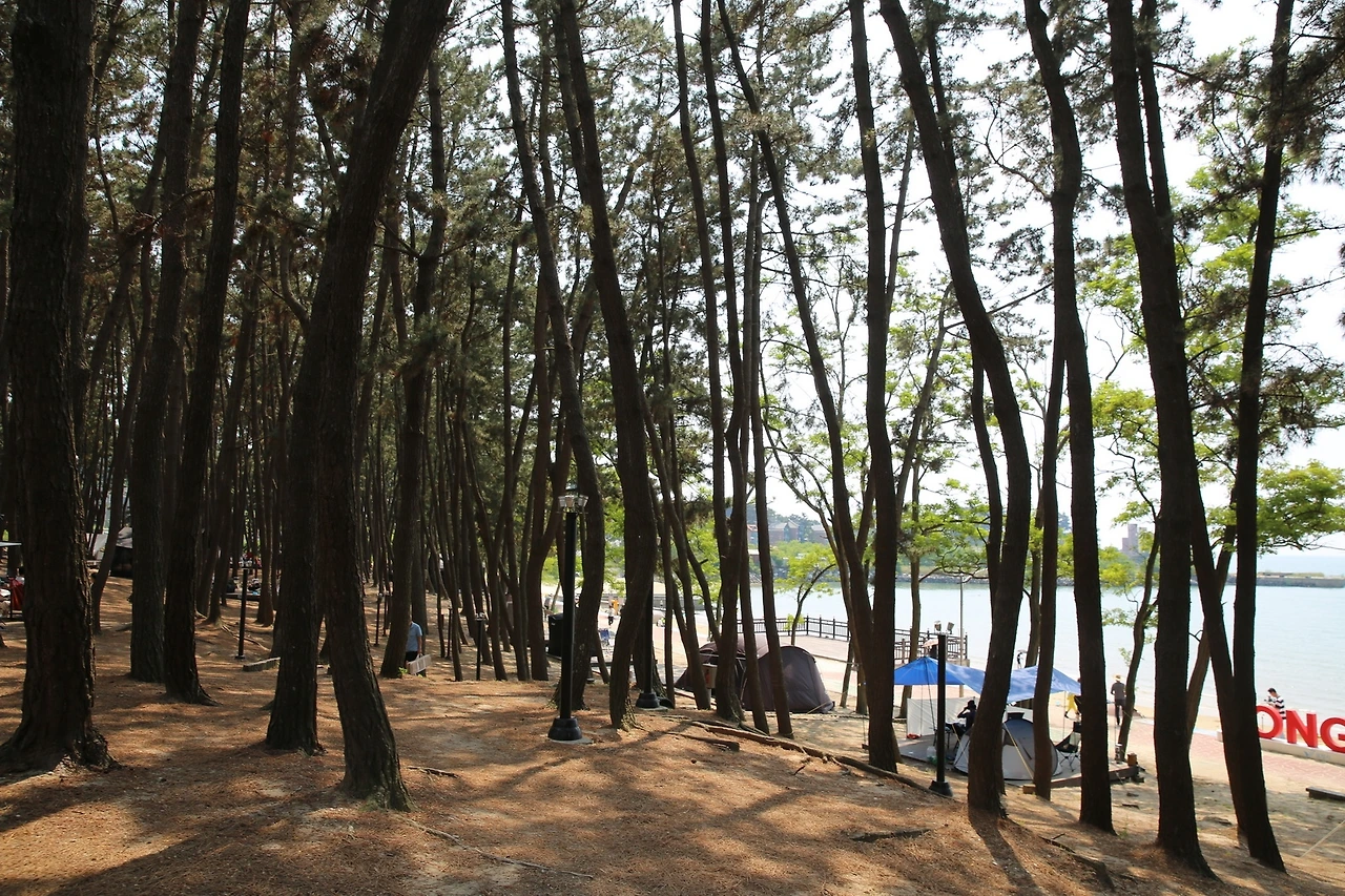 MG0A6327_новый размер.JPG