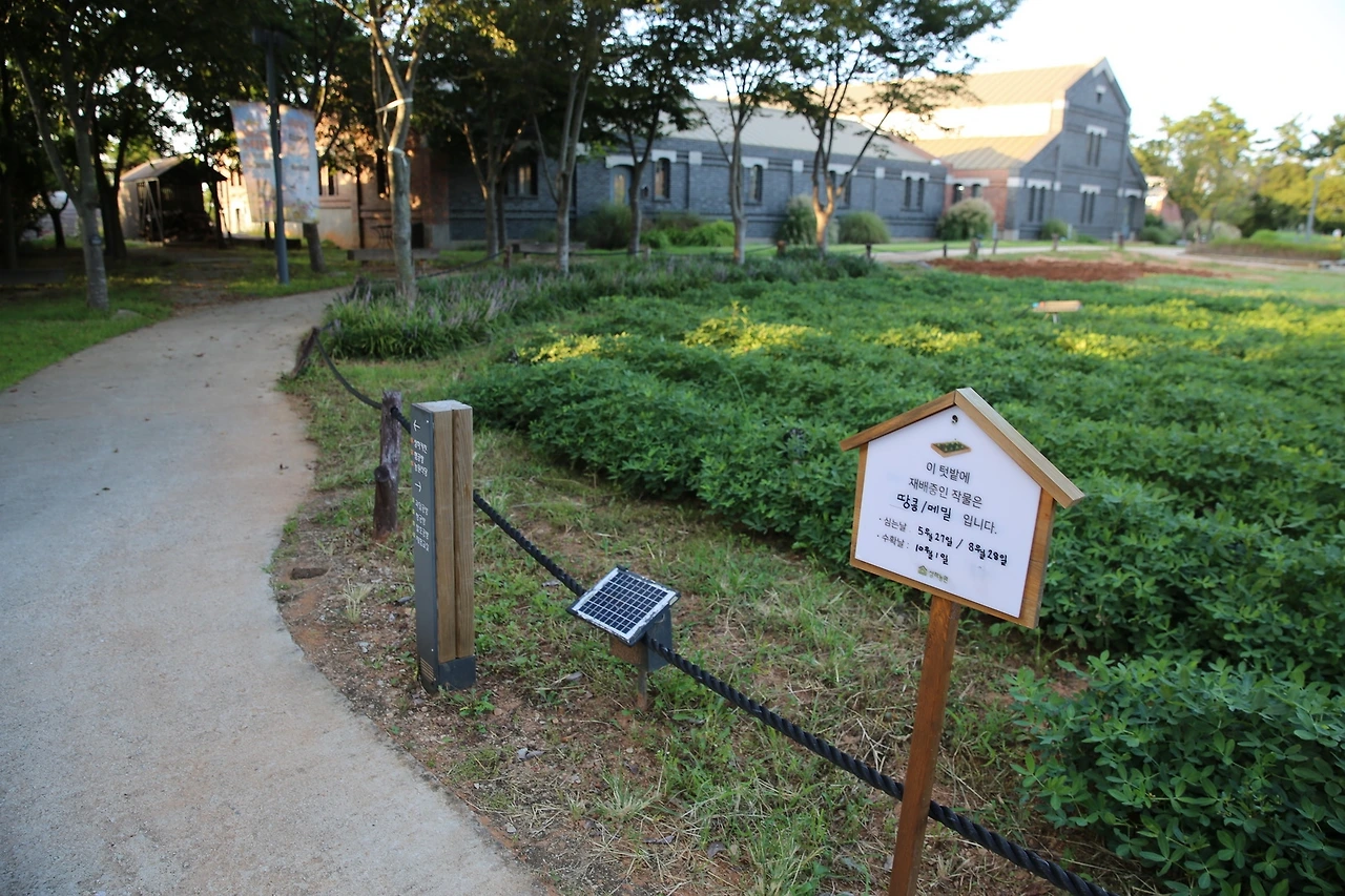 MG0A1390_новый размер.JPG