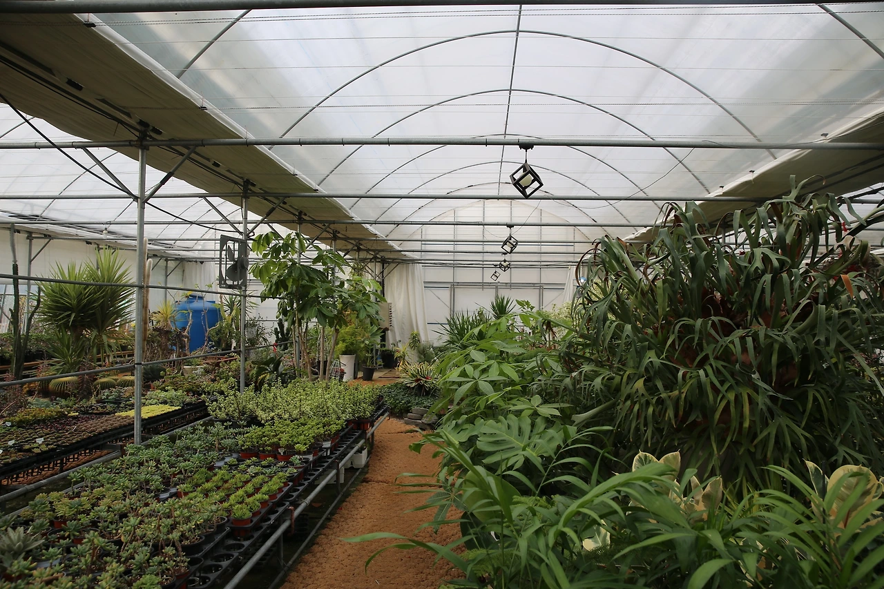 MG0A0669_новый размер.JPG