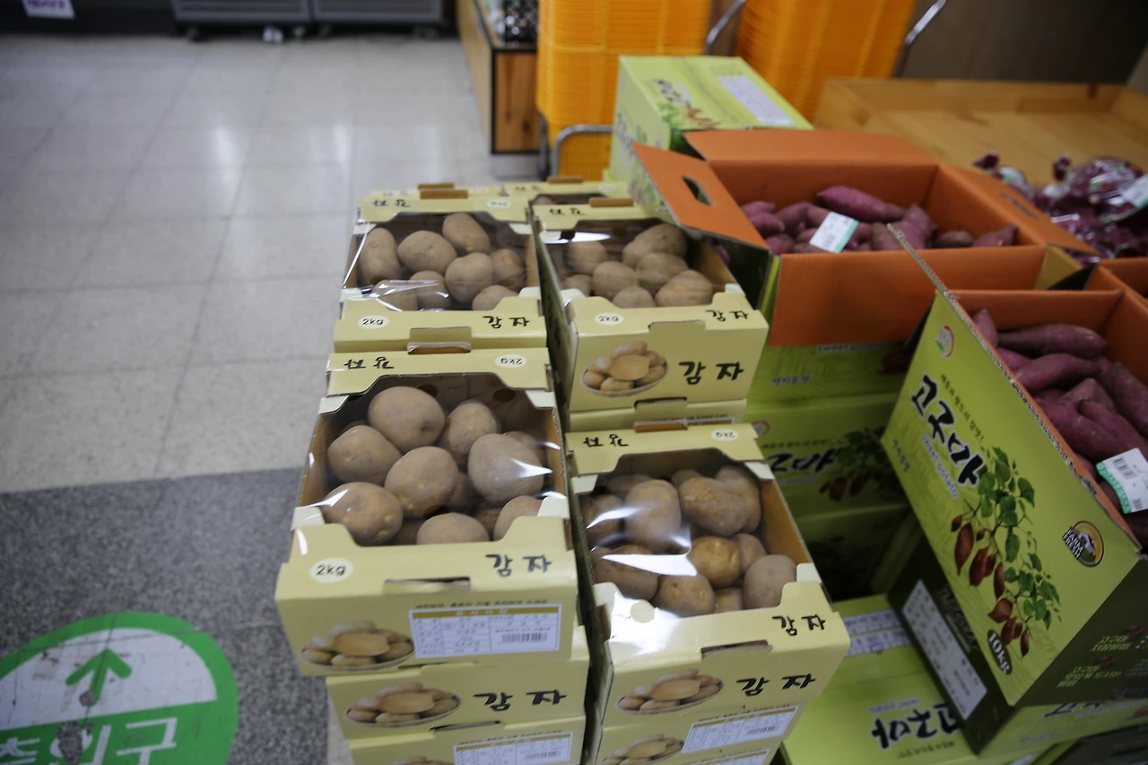 MG0A3021_новый размер.JPG