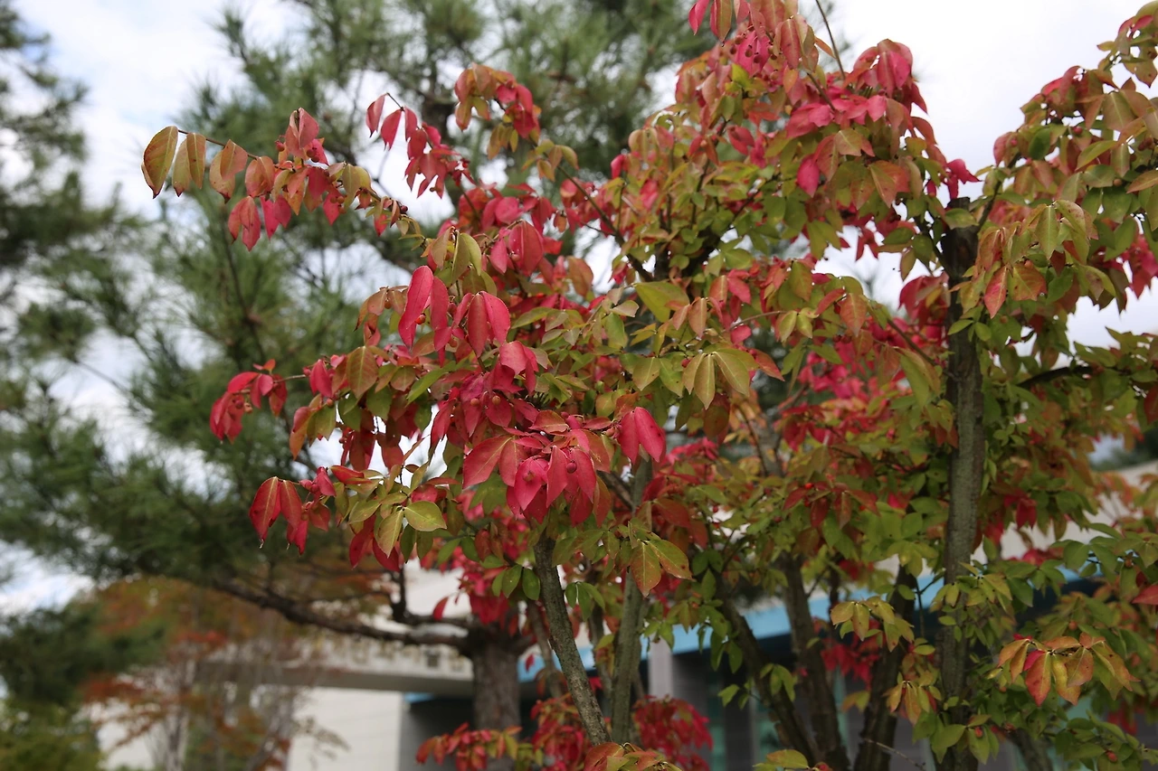 MG0A5607_новый размер.JPG