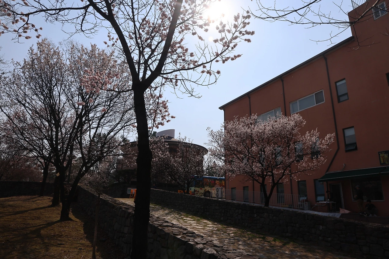 0R5A5487_новый размер.JPG